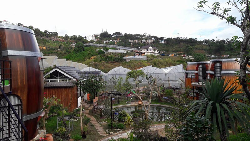 Wine-valley-homestay-da-lat