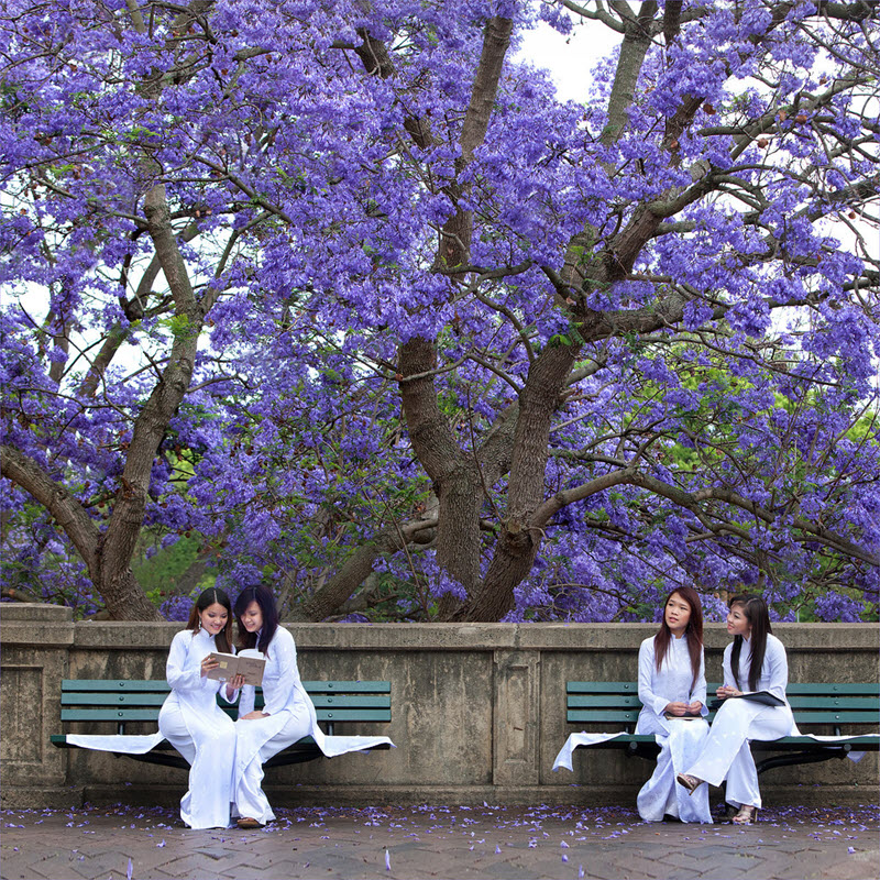 ao-dai-da-lat