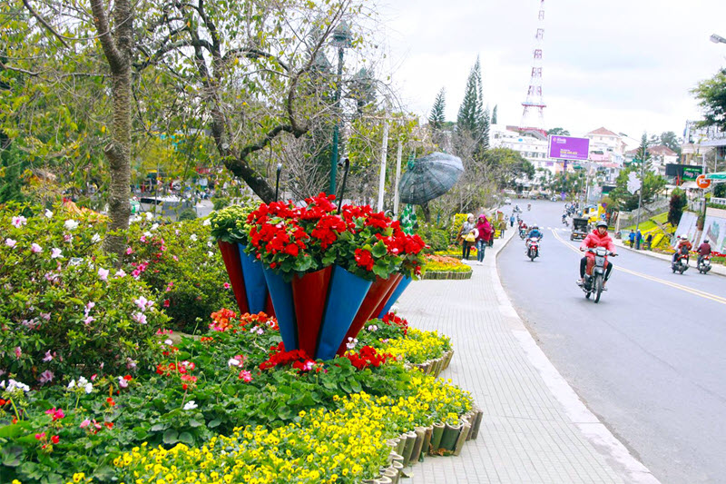 festival-hoa-da-lat