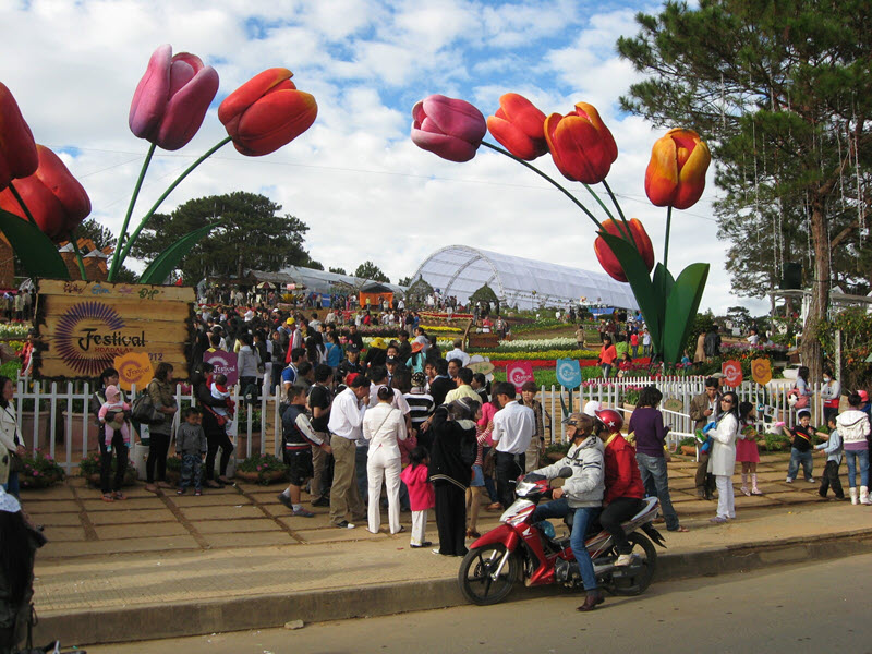 festival-hoa-da-lat