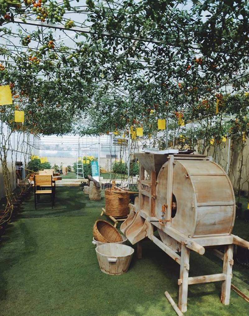 green-box-vietnam-coffee