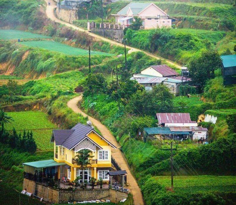 nhung-con-doc-da-lat