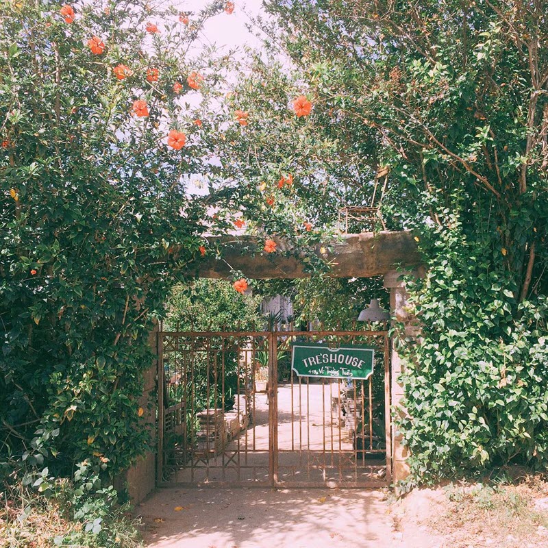 tre-house-da-lat